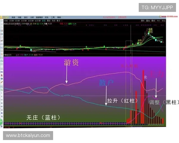选择合适的开云体育源码对运营成功的影响